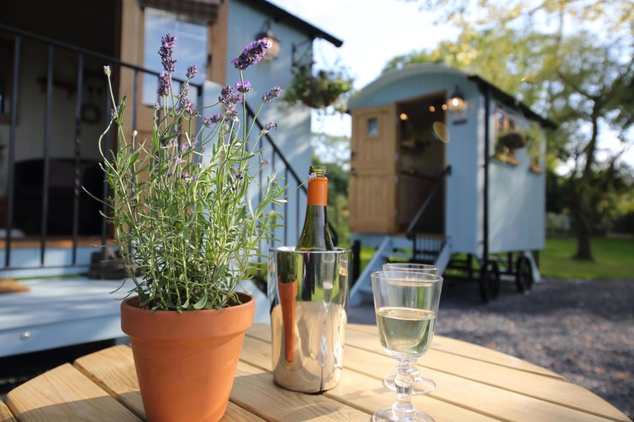 Upper Gelli Luxury Holiday Lodge, Converted Dairy & Cosy Shepherds Huts Welshpool Exterior photo